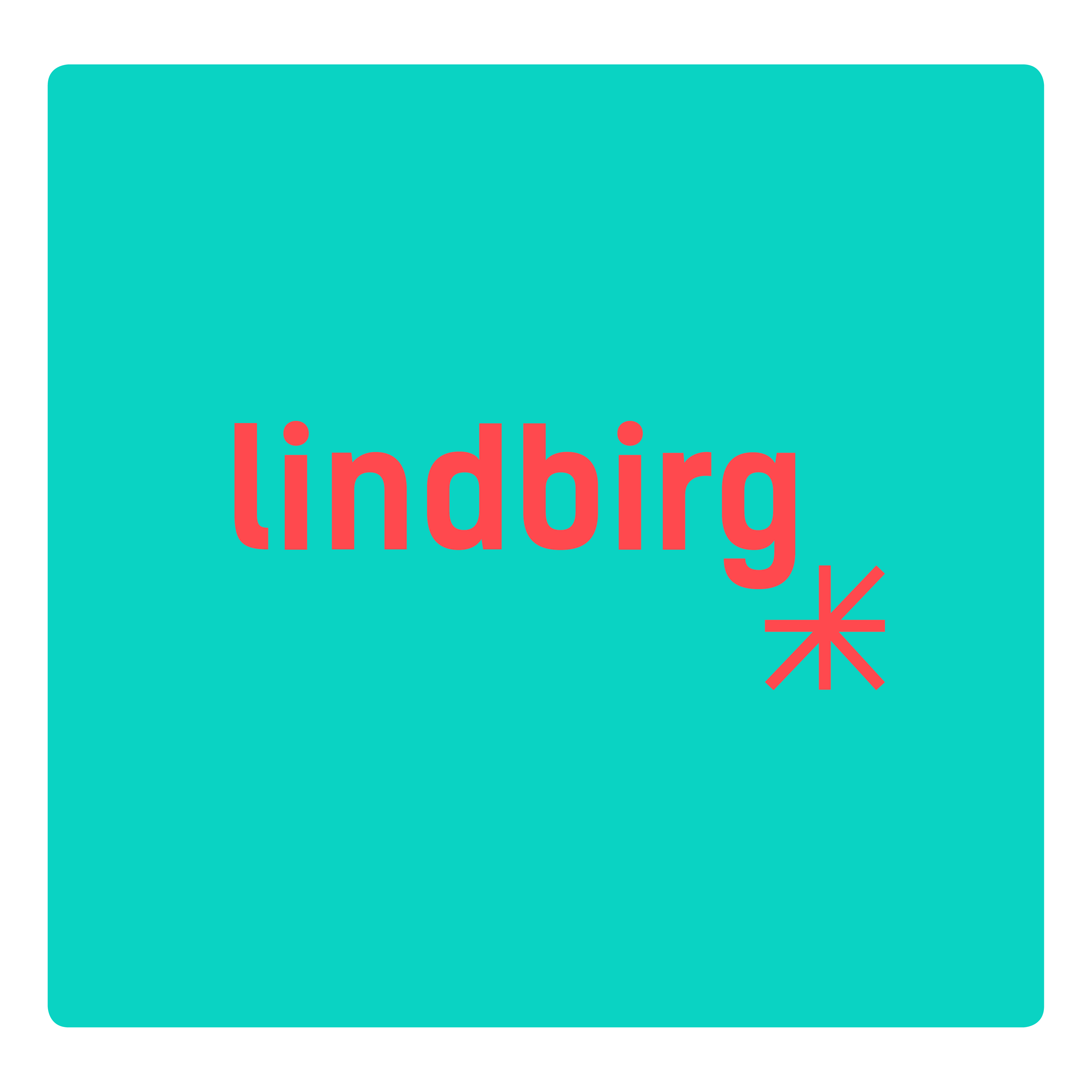 lindbirg-logo